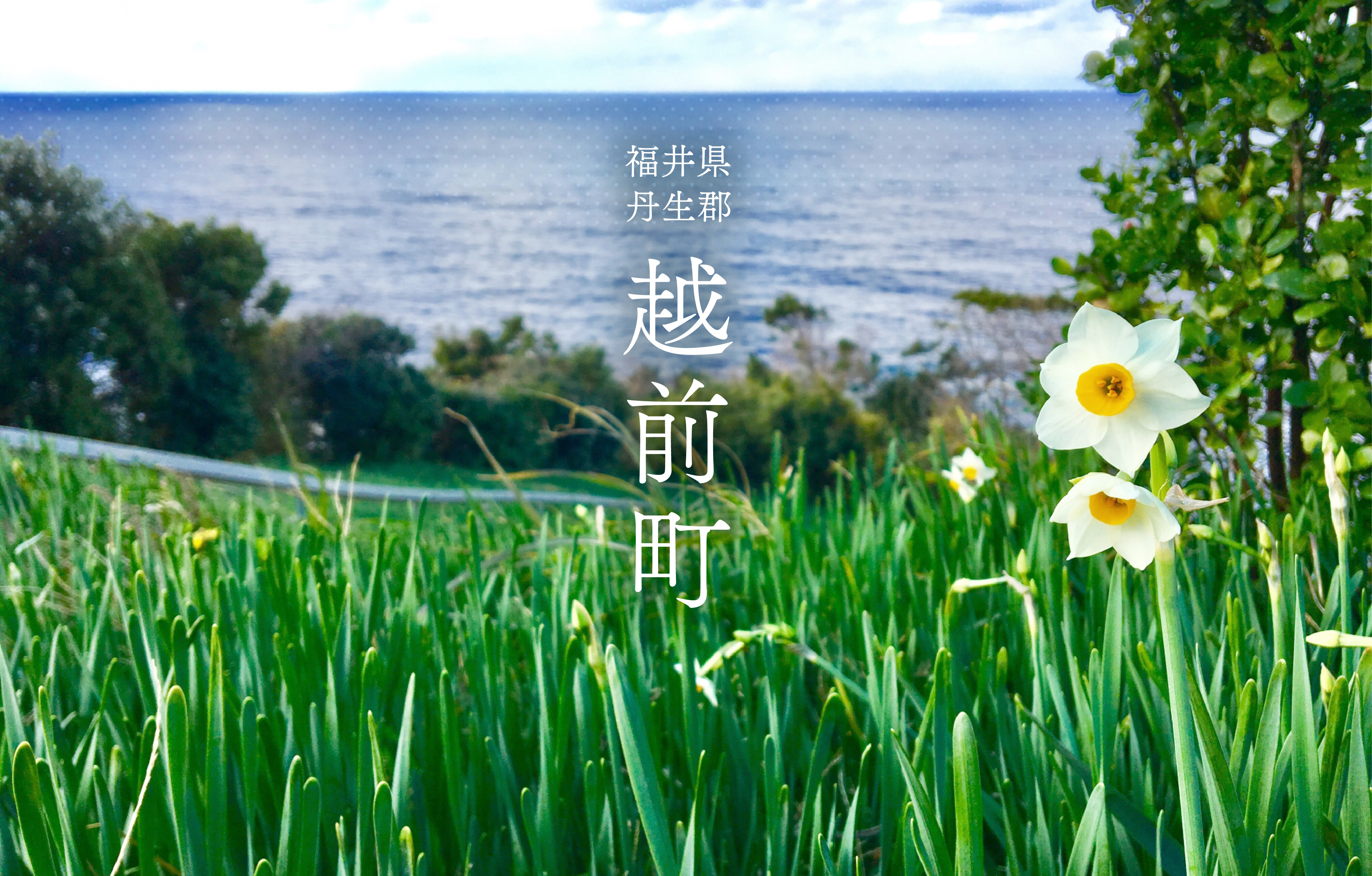 福井県越前町